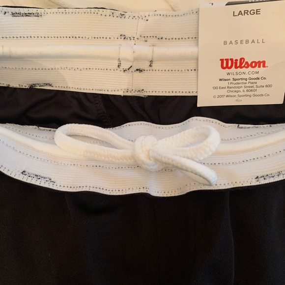 🆕 Wilson Baseball Pants - Picture 5 of 9